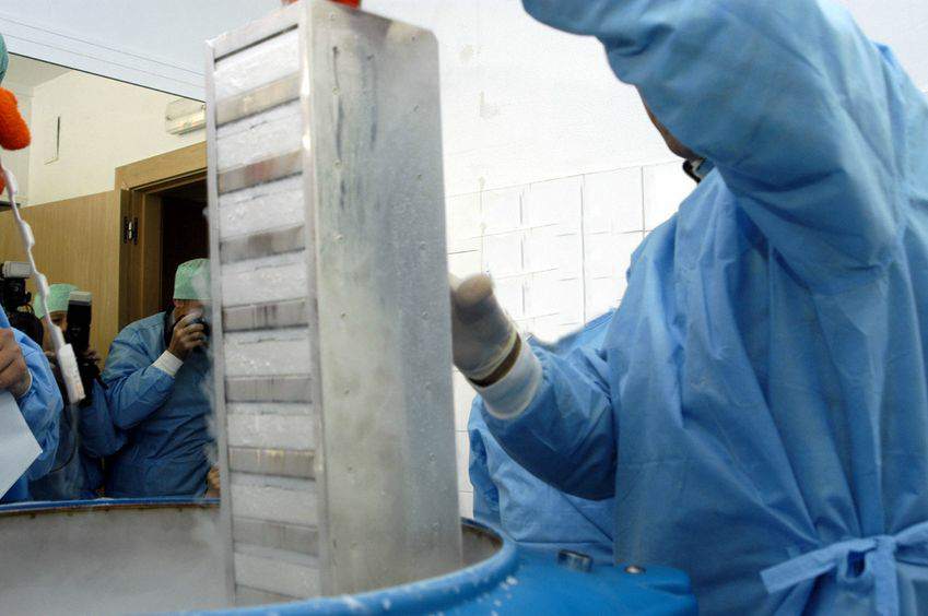 Conservación de las células madre de la sangre del cordón umbilical 