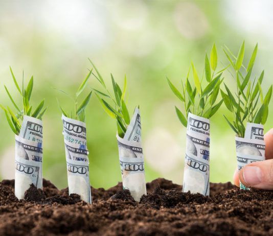 Las Startups en Espana