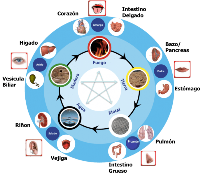 Las emociones y acupuntura