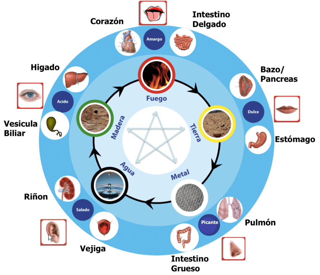 Las emociones y acupuntura