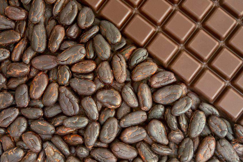 Confirmado: un estudio asegura que el cacao es un superalimento