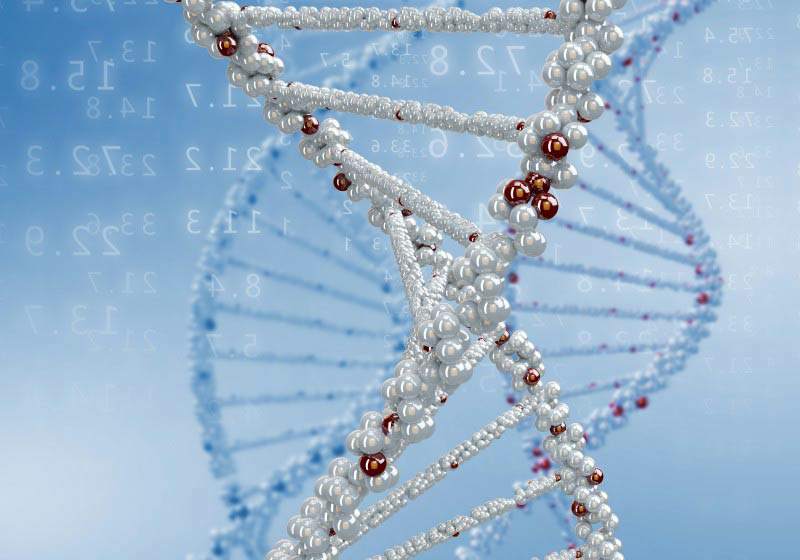 Genómica y antienvejecimiento: hacia un tratamiento personalizado dDermis magazine 25