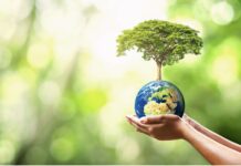 medioambiente