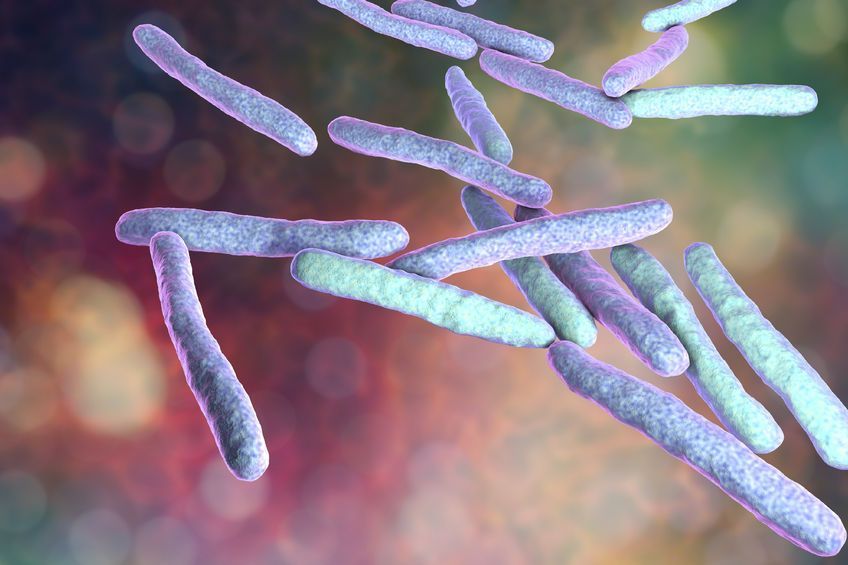 La multirresistencia bacteriana